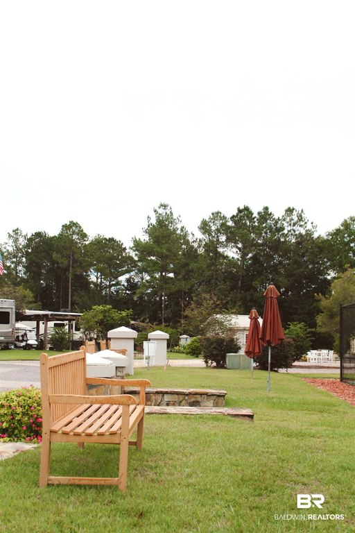 Picture 36