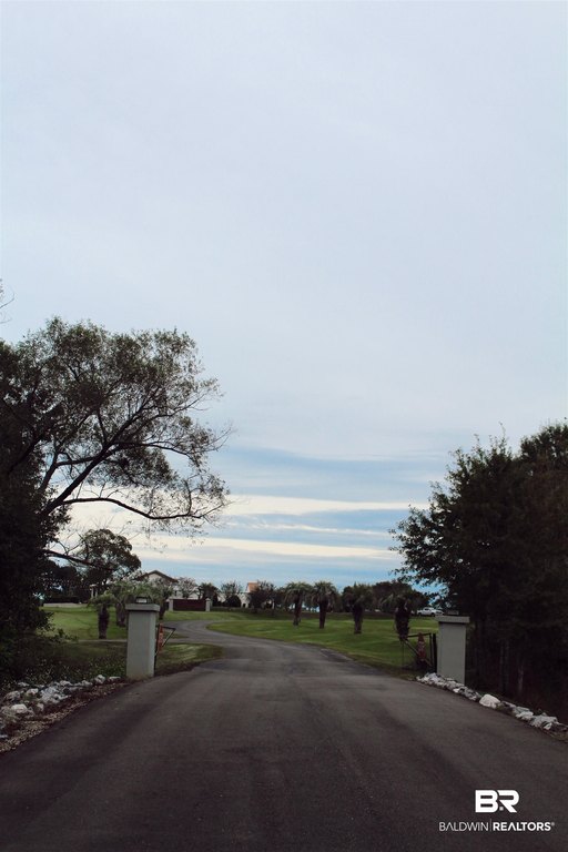 Picture 53
