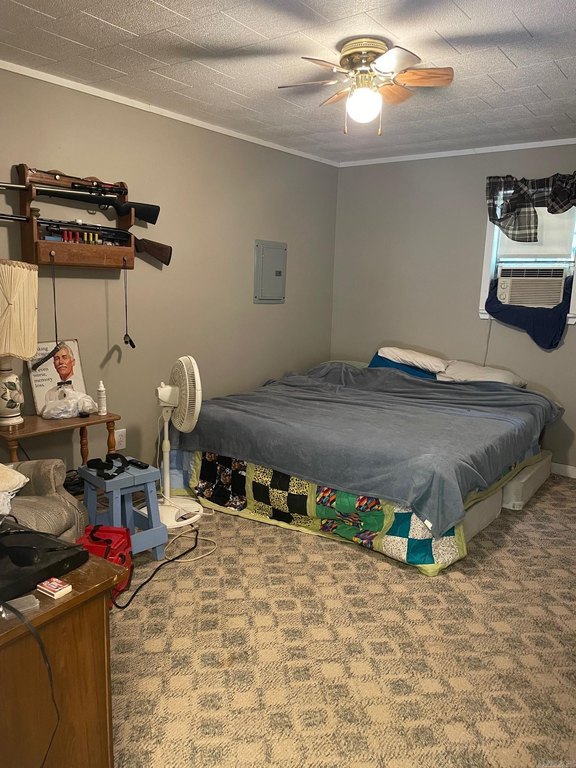 Picture 21