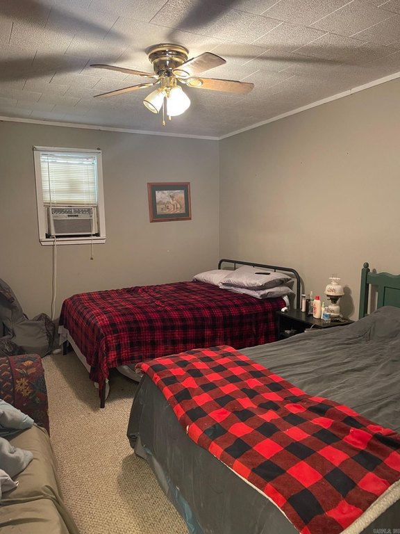 Picture 20