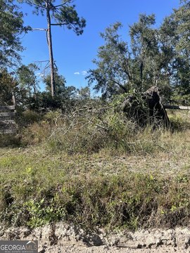 Valdosta Land for Residential Development