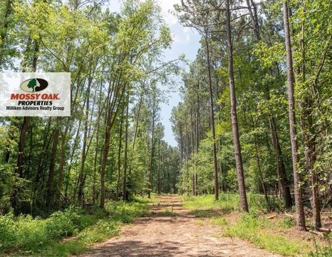 Land, Greenwood, SC