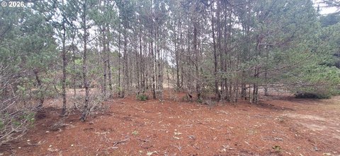 Residential Lot in Heceta South