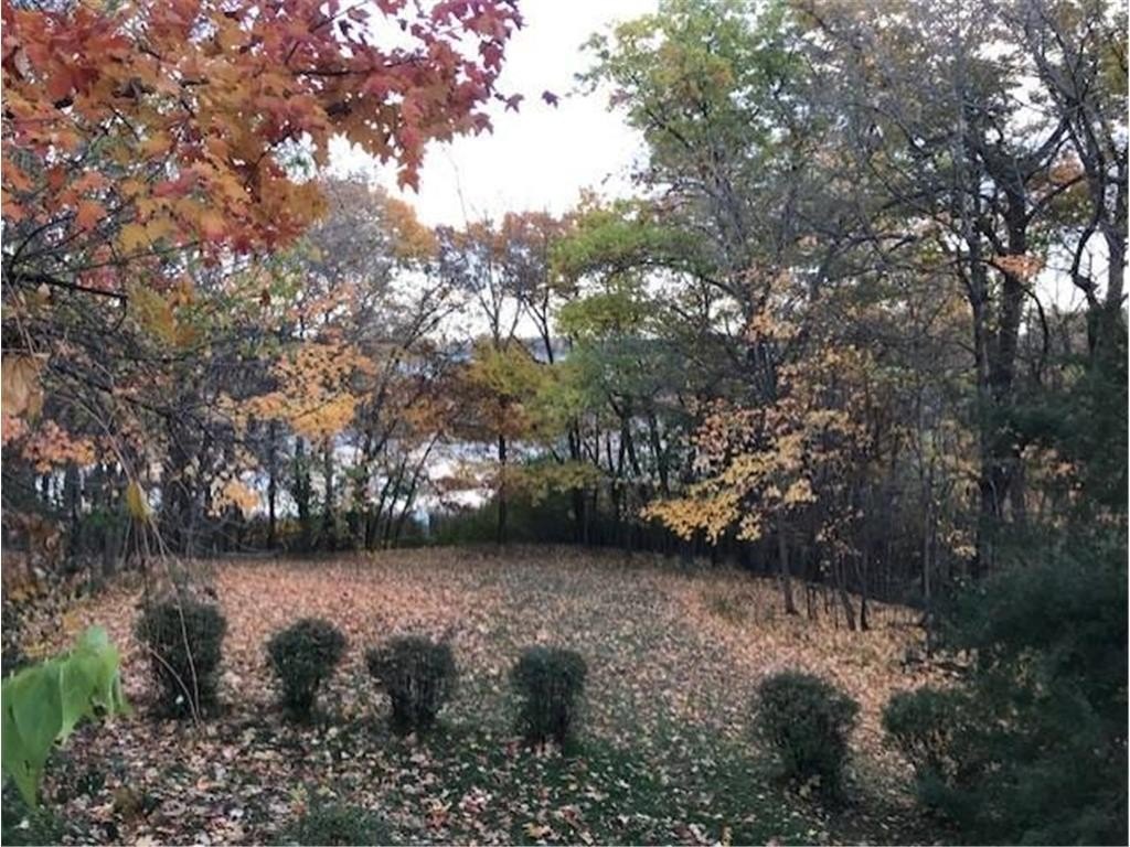 Picture 33