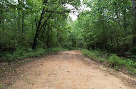 Timberland and Recreational Acres
