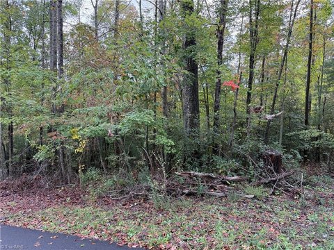 Land, Mount Airy, NC