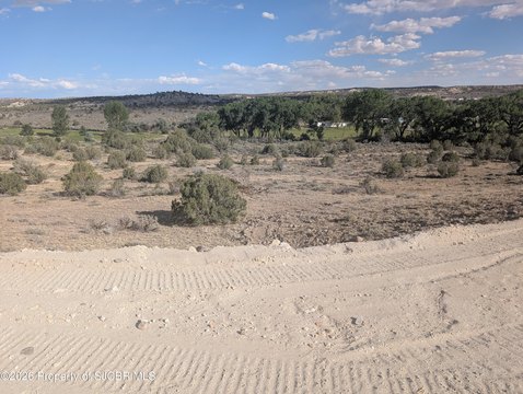 LAND - Aztec, NM