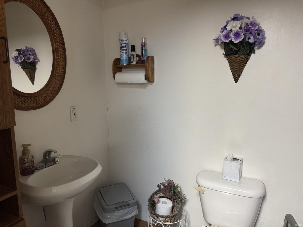 Picture 6