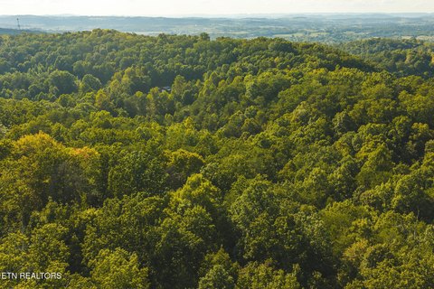Lots & Acreage, Bulls Gap, TN