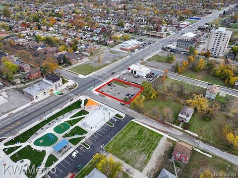 Detroit Land Opportunity