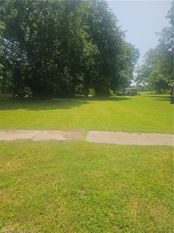 Picture 3