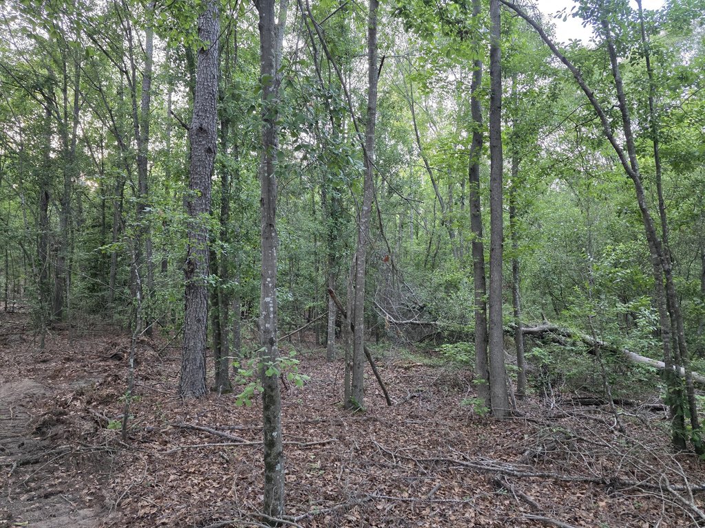 Picture 3