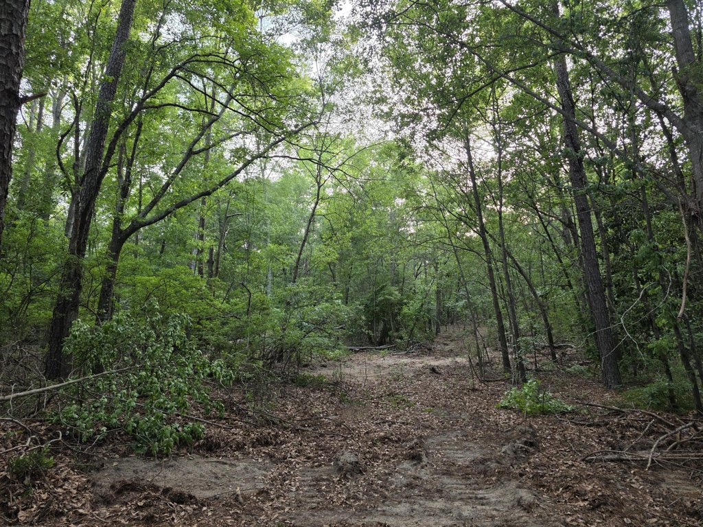 Picture 4