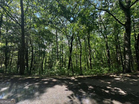 Ellijay Mountain Lot in Estates