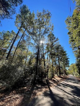 Wooded Residential Land Lot