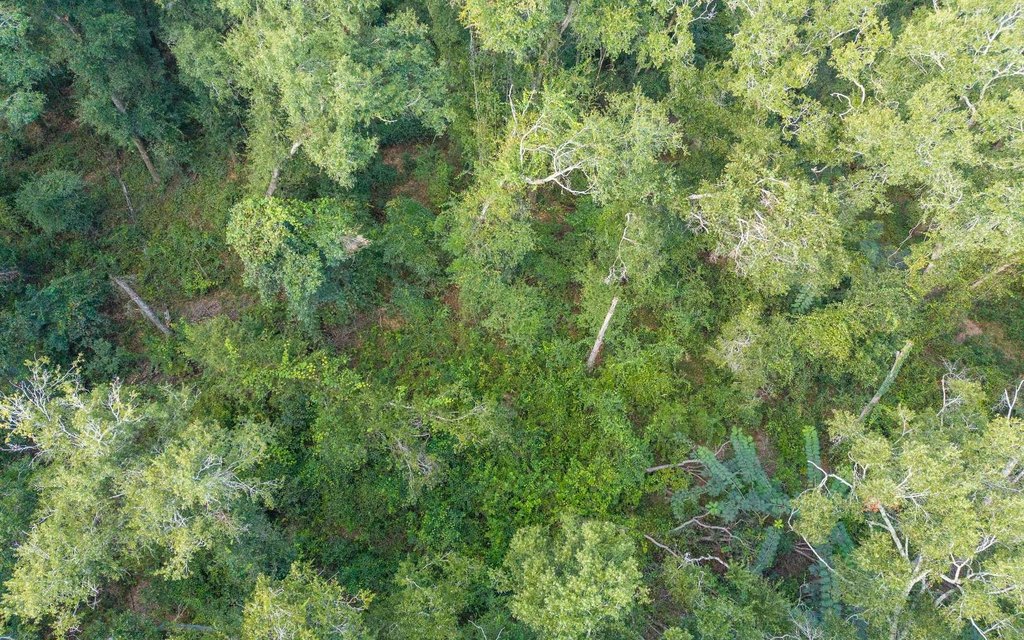 Picture 25