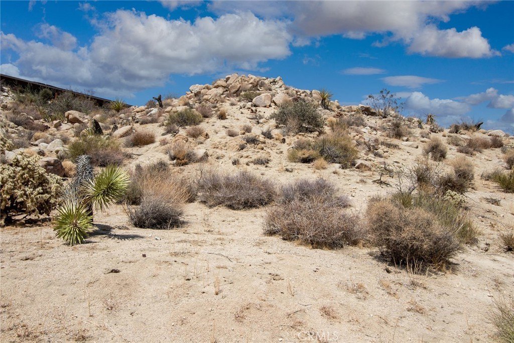 Picture 9