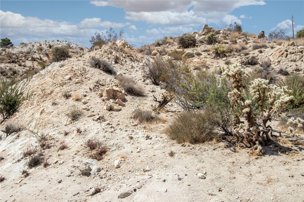 Picture 10