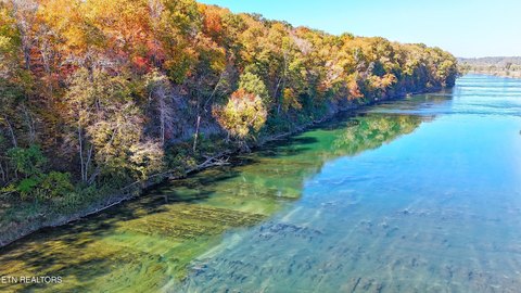 Lots & Acreage, Bybee, TN