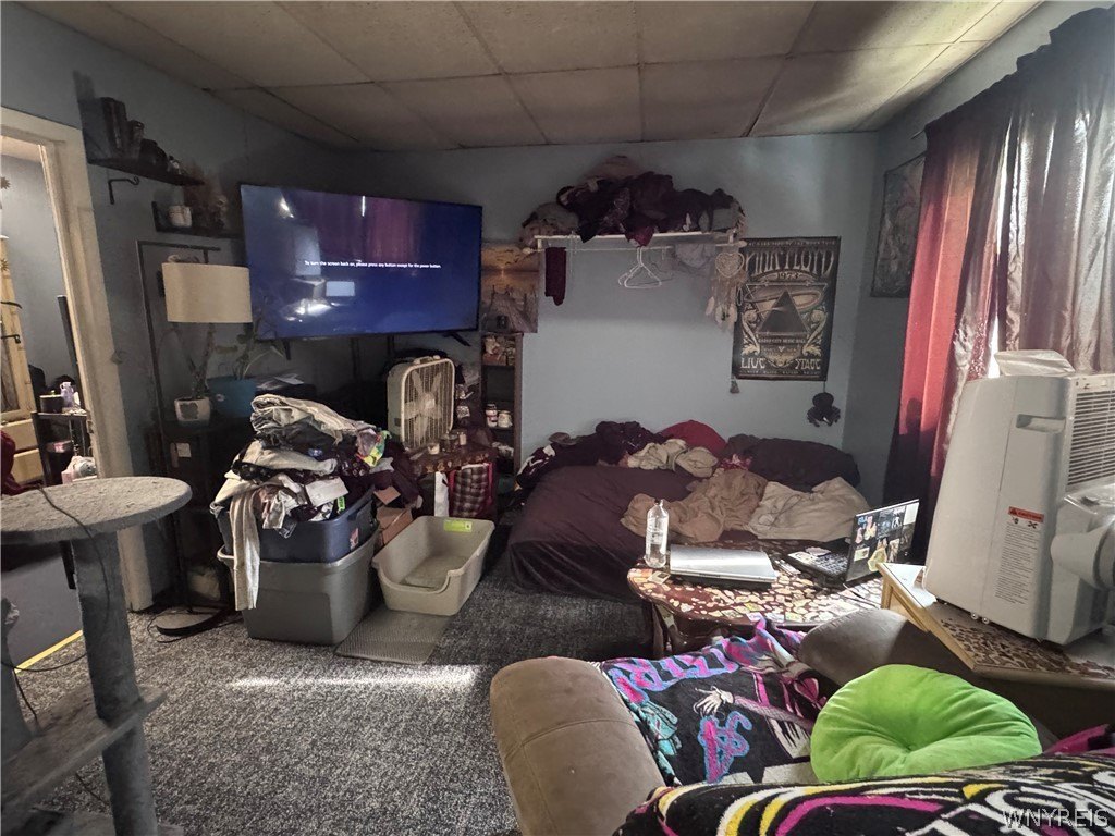 Picture 37