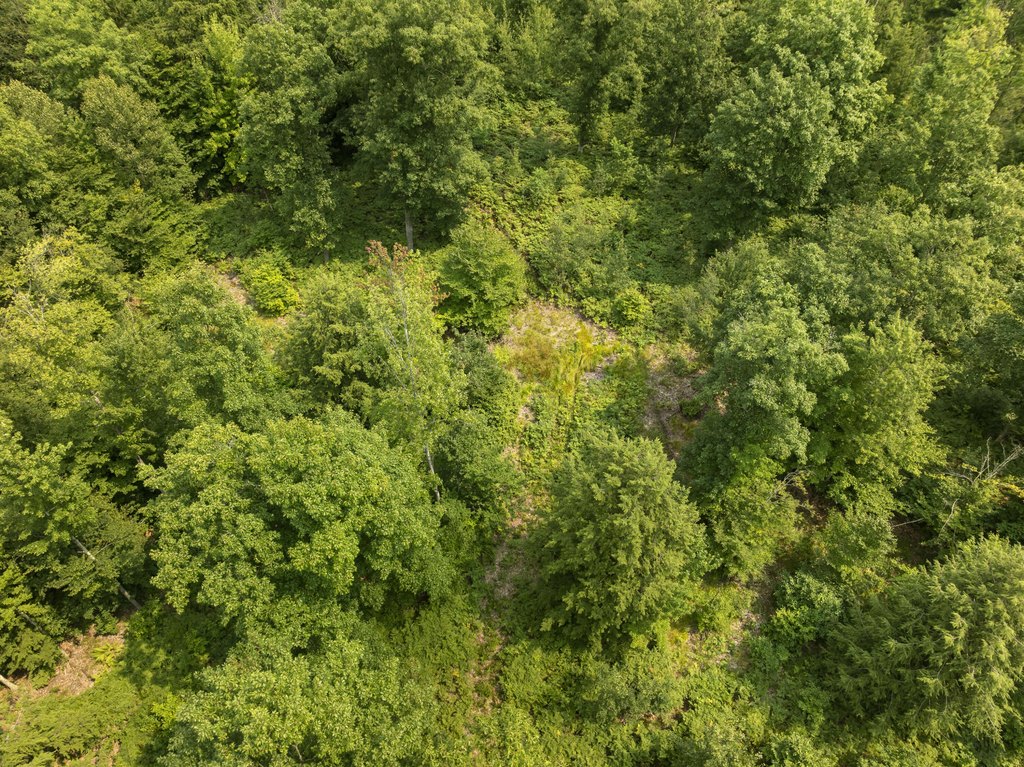 Picture 4