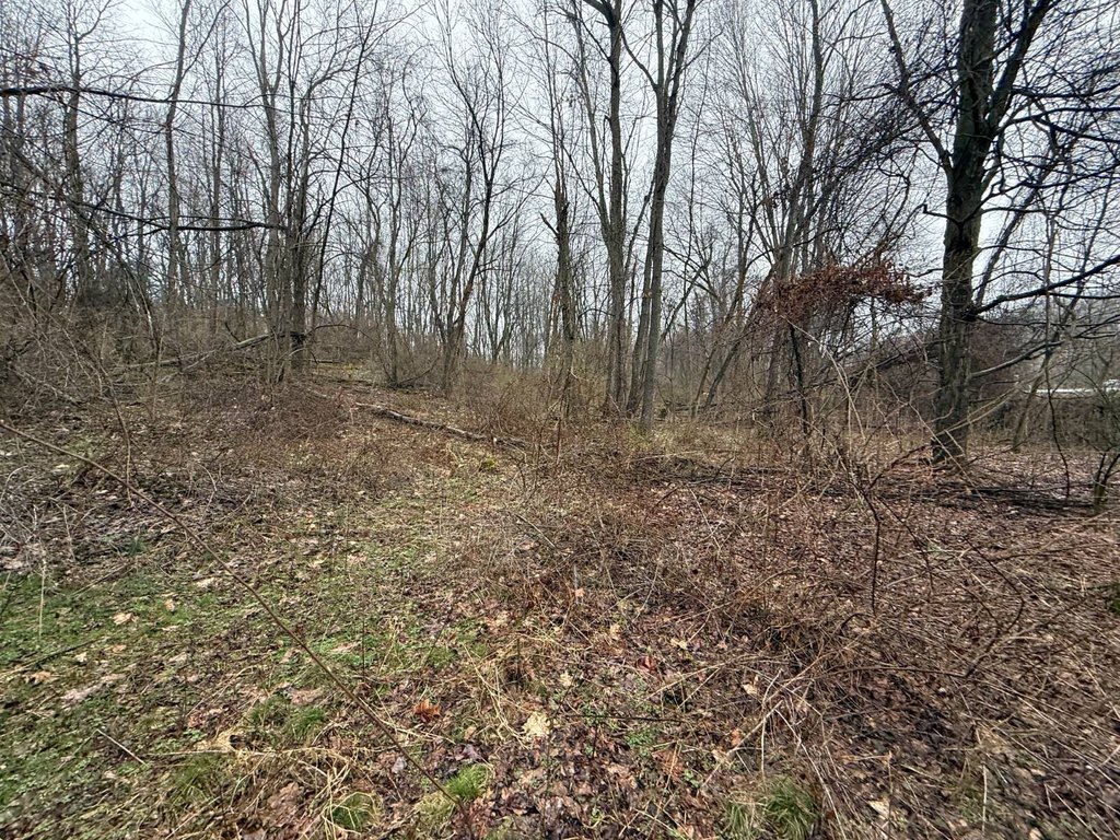 Picture 4
