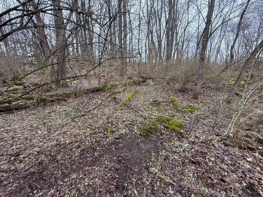 Picture 8