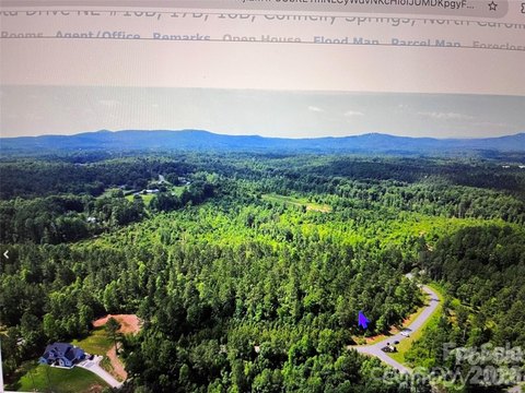 LAND - Connelly Springs, NC