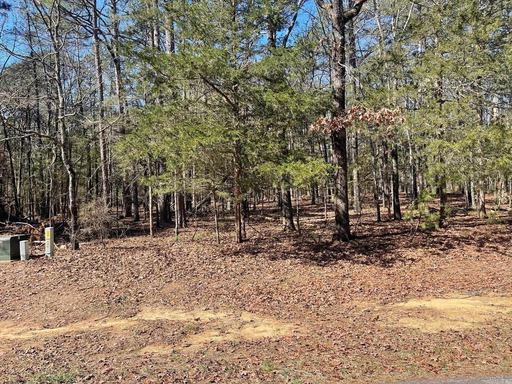 Picture 4