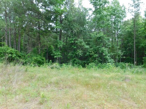 LAND - Gilmer, TX