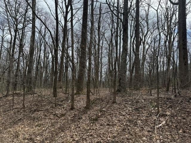 Land Parcel in Gated Community