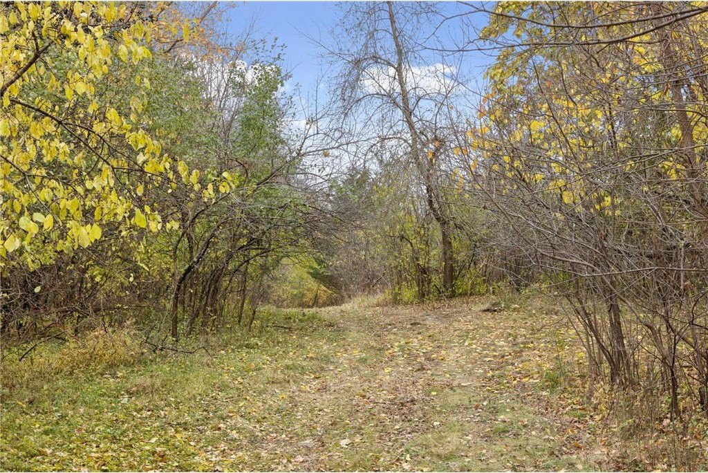 Picture 20