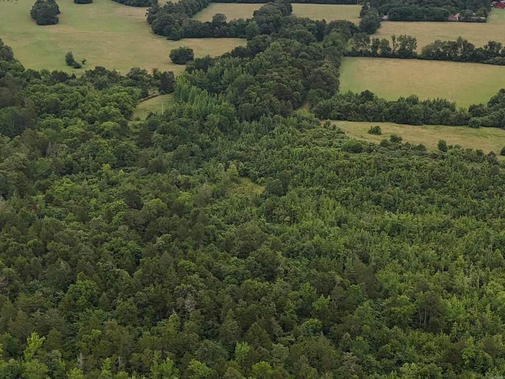 Picture 42