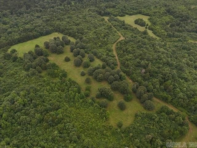 Picture 25