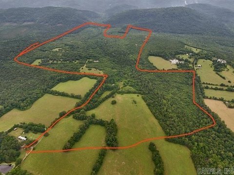 321 Acres Bordering National Forest