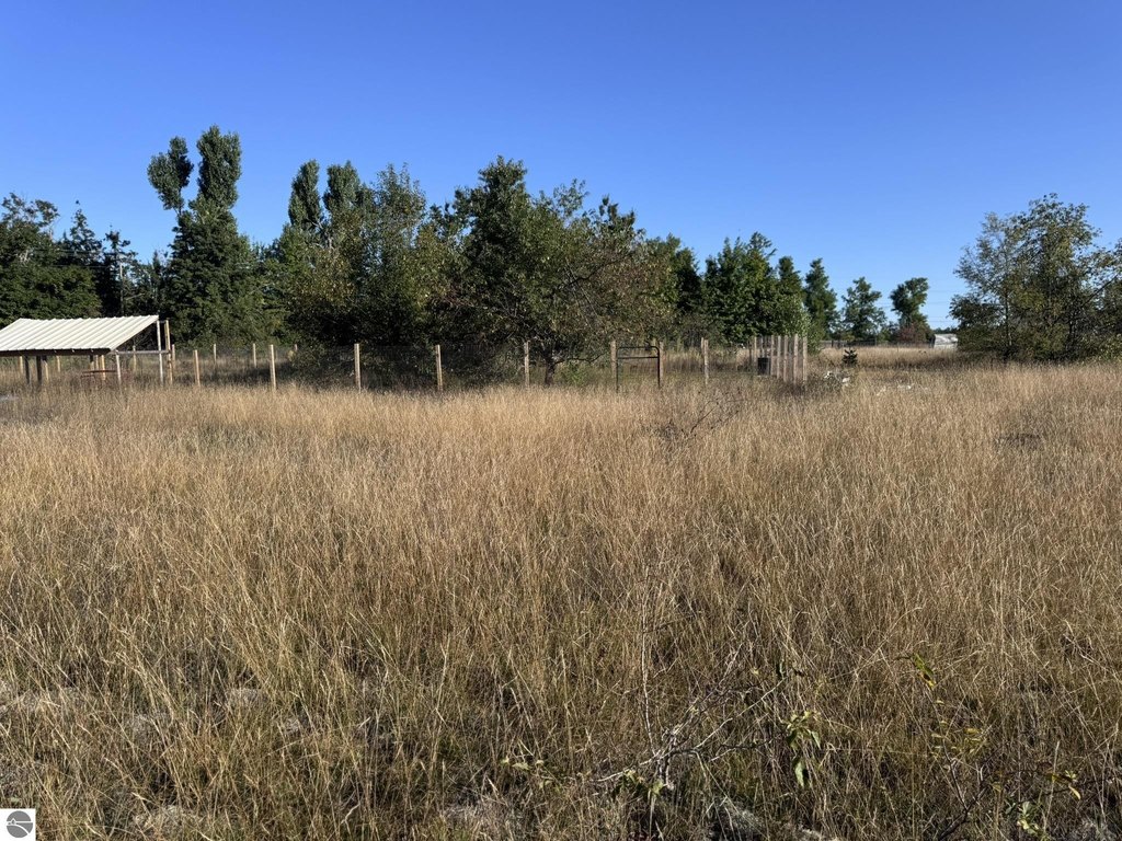 Picture 22