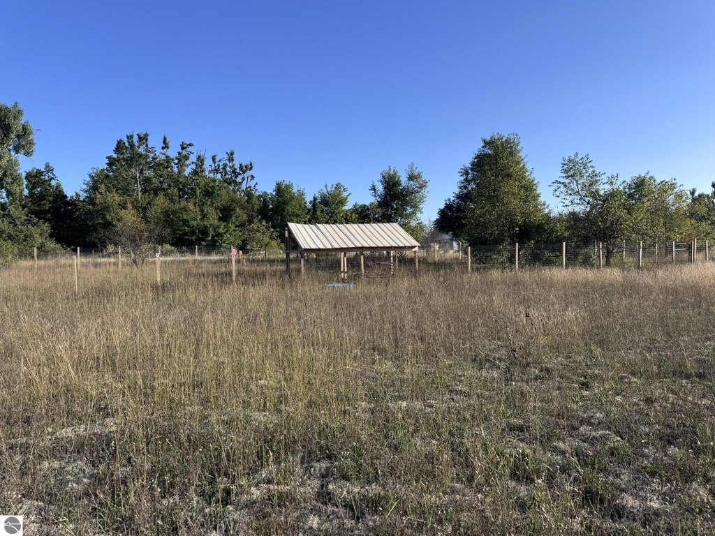 Picture 20