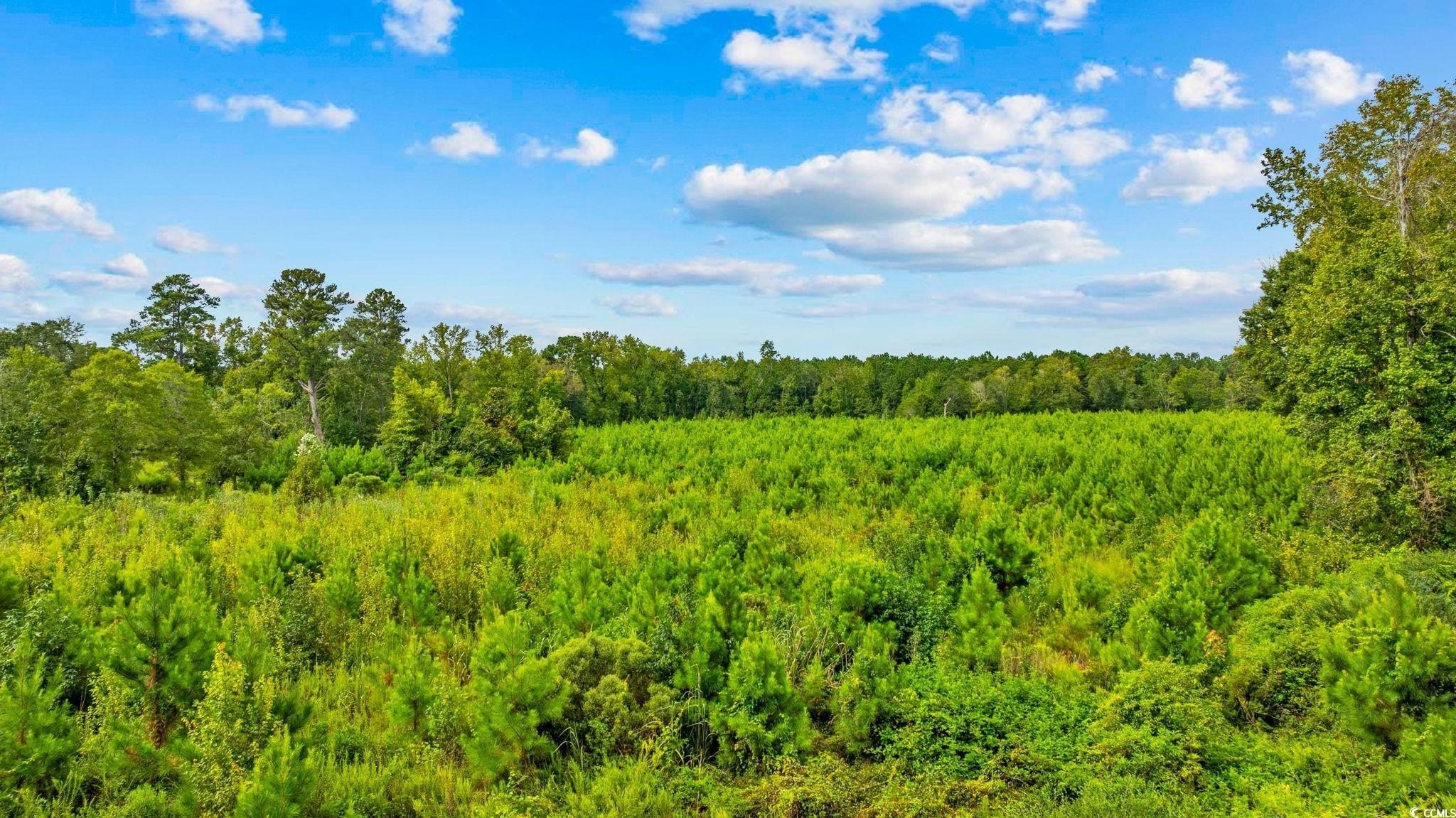 Loris 11-Acre Land Parcel