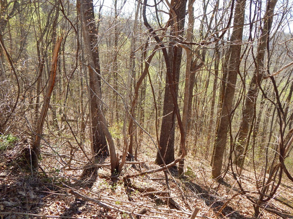 Picture 9