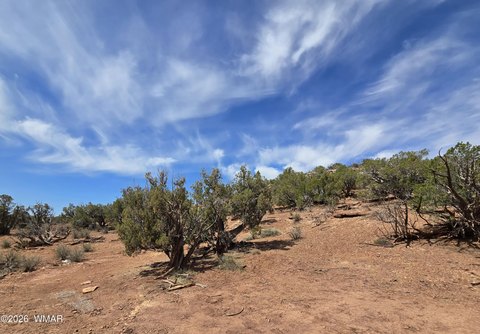 LAND - Snowflake, AZ