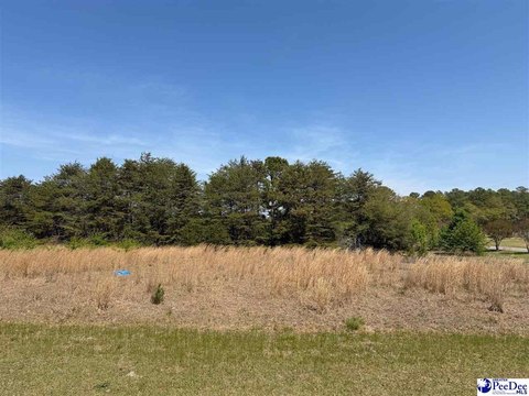 Corner Commercial Development Land
