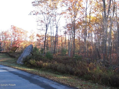 Residential Land in Hawley, PA