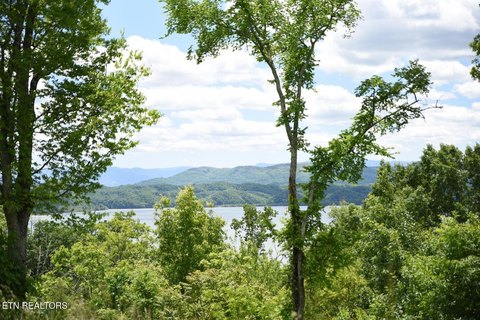 Lots & Acreage, Newport, TN