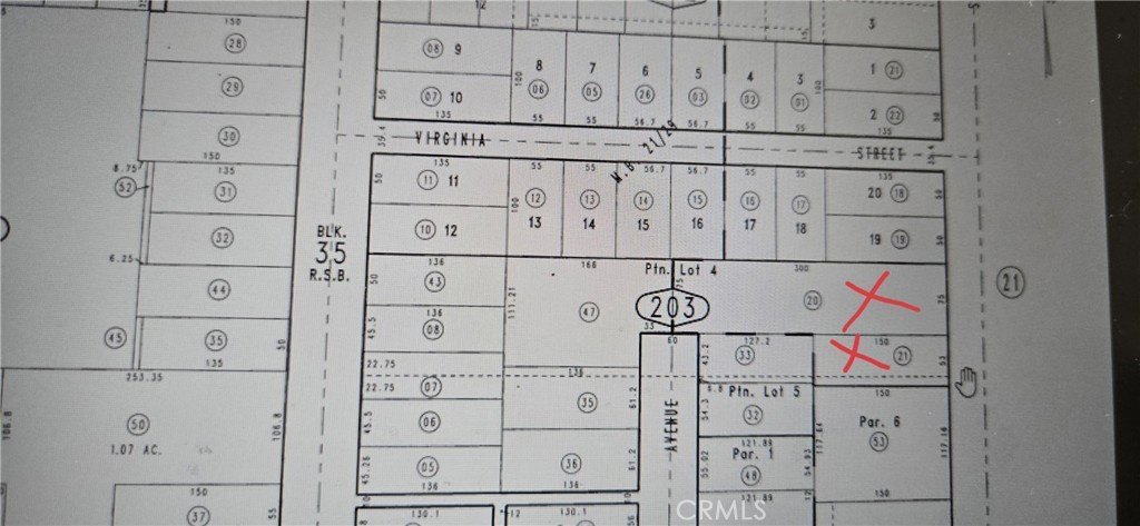 Picture 6