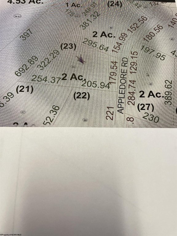 Picture 19