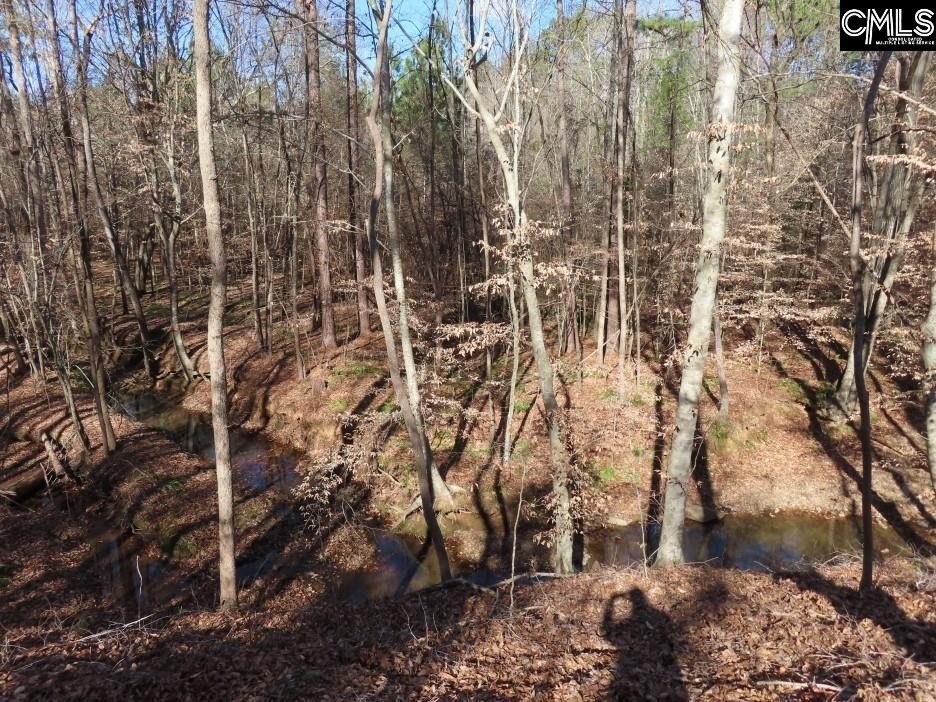 Picture 30