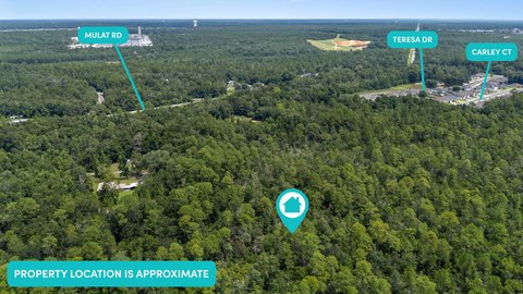 Land, Milton, FL