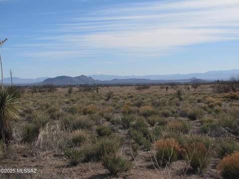 Land with Mountain Views