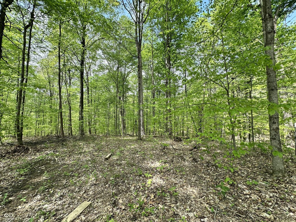 Picture 3