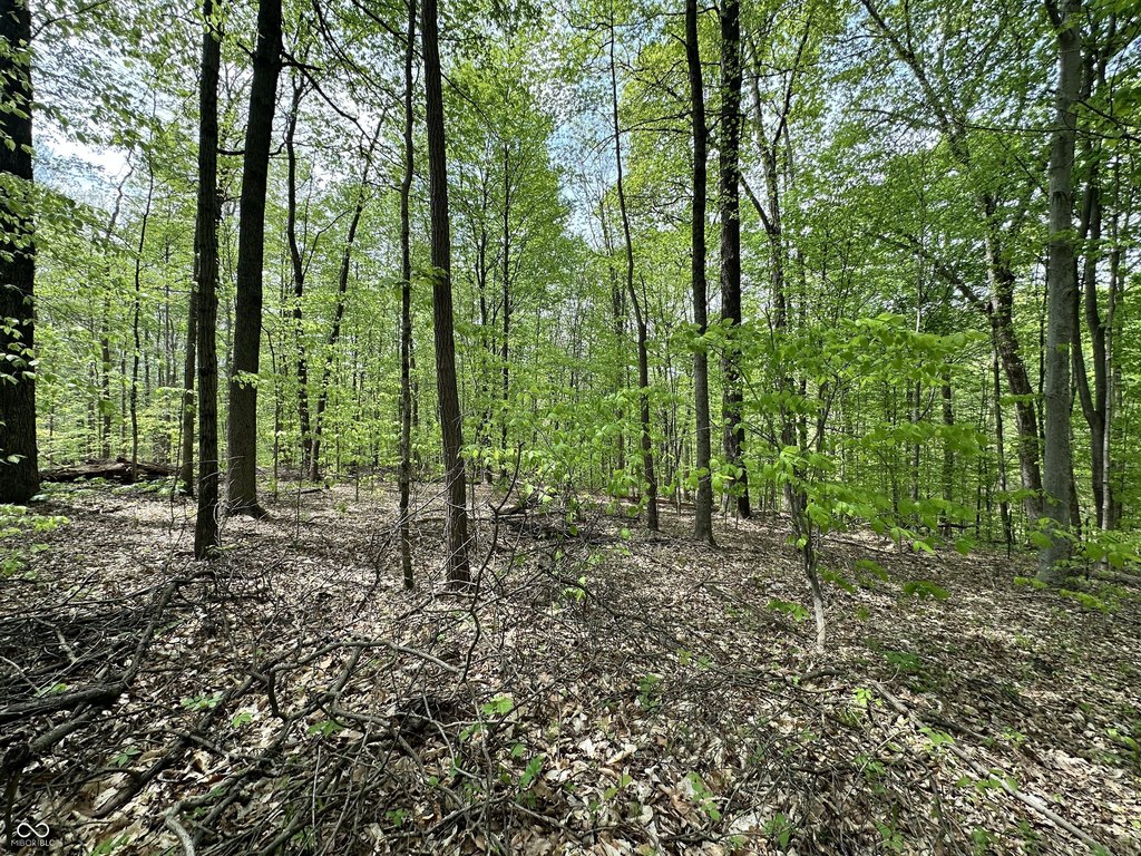 Picture 23